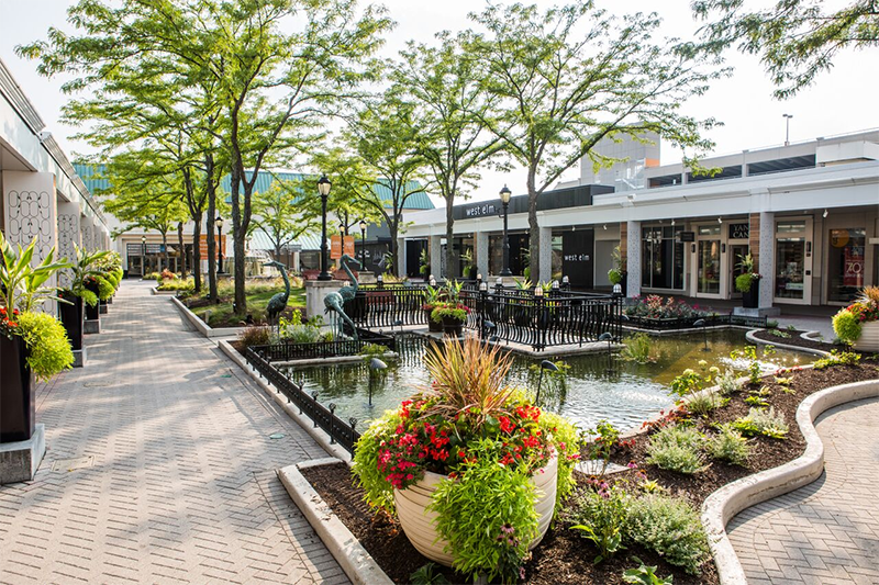 skokie 5