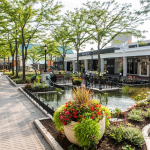 skokie 5