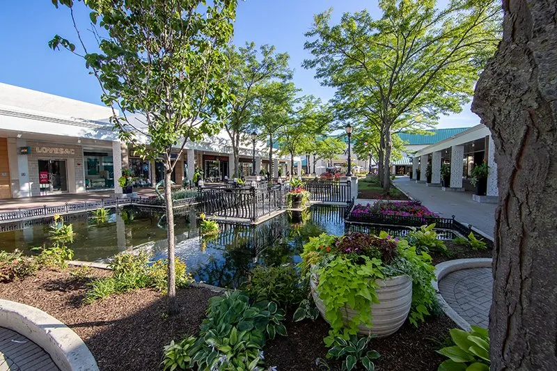 skokie 6